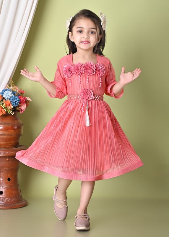 Girls Party Wear Floral Applique Pleated Dress